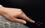 7332543823833_4.jpg