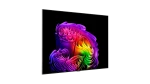 8806096686218_6.png