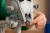 LEGO Star Wars 75417 Maszyna krocząca AT-ST_7.jpg