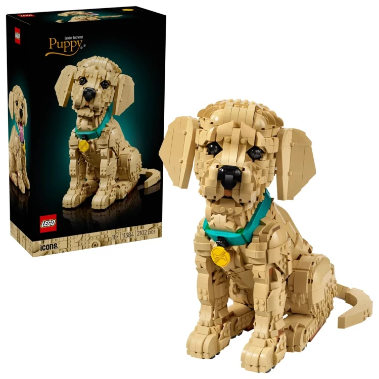 LEGO Icons 11384 Szczeniak Golden Retriever_1.jpg
