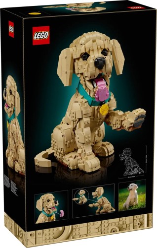LEGO Icons 11384 Szczeniak Golden Retriever_2.jpg