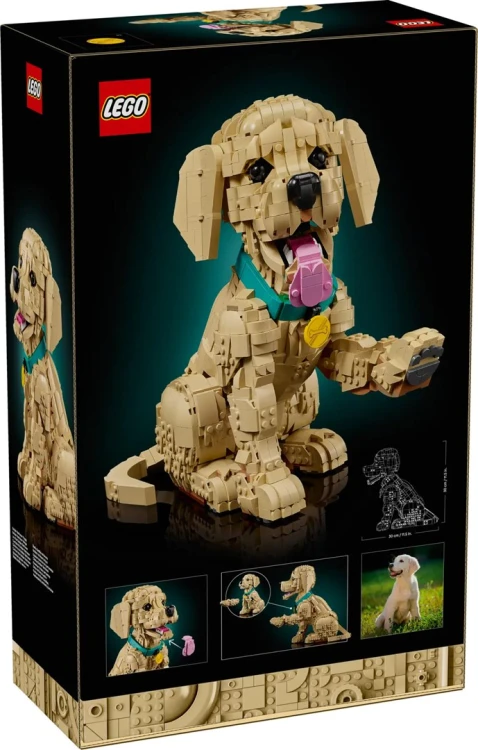 LEGO Icons 11384 Szczeniak Golden Retriever_2.jpg