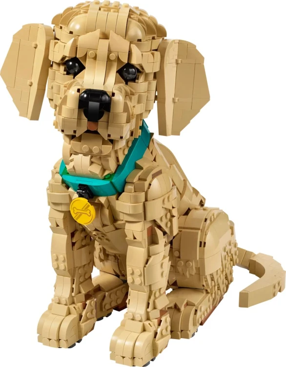 LEGO Icons 11384 Szczeniak Golden Retriever_3.jpg