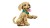 LEGO Icons 11384 Szczeniak Golden Retriever_4.jpg