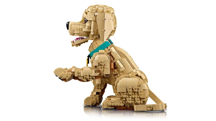 LEGO Icons 11384 Szczeniak Golden Retriever_5.jpg