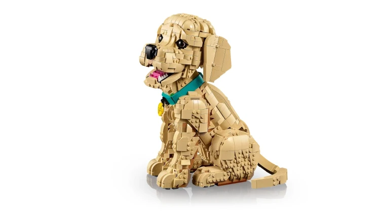 LEGO Icons 11384 Szczeniak Golden Retriever_7.jpg
