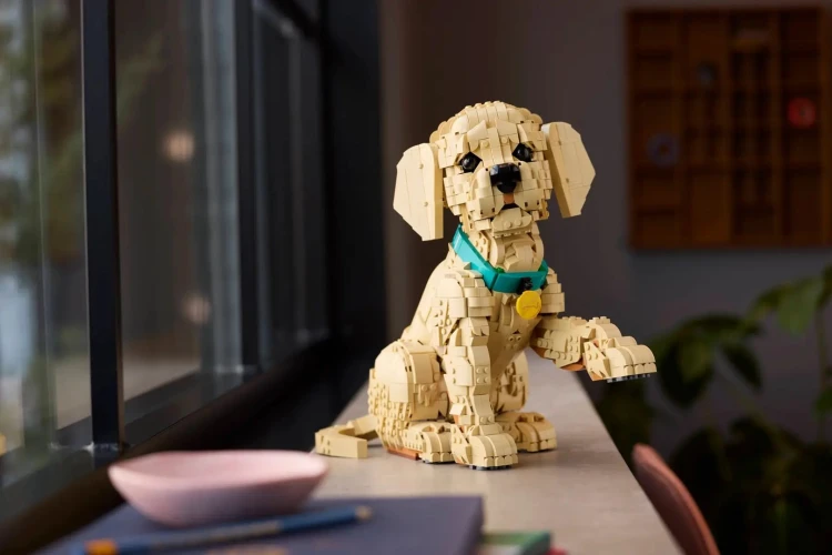 LEGO Icons 11384 Szczeniak Golden Retriever_8.jpg