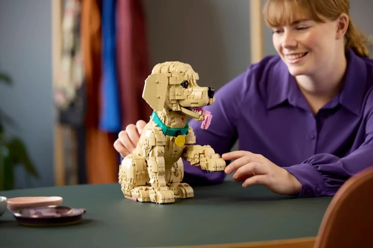 LEGO Icons 11384 Szczeniak Golden Retriever_9.jpg