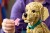 LEGO Icons 11384 Szczeniak Golden Retriever_11.jpg