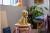 LEGO Icons 11384 Szczeniak Golden Retriever_15.jpg