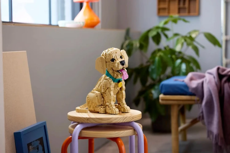 LEGO Icons 11384 Szczeniak Golden Retriever_15.jpg