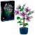 LEGO Botanicals 10372 Hibiskus_1.jpg