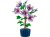 LEGO Botanicals 10372 Hibiskus_3.jpg
