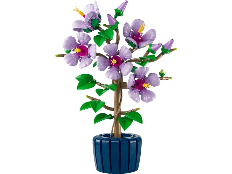 LEGO Botanicals 10372 Hibiskus_3.jpg