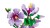 LEGO Botanicals 10372 Hibiskus_7.jpg