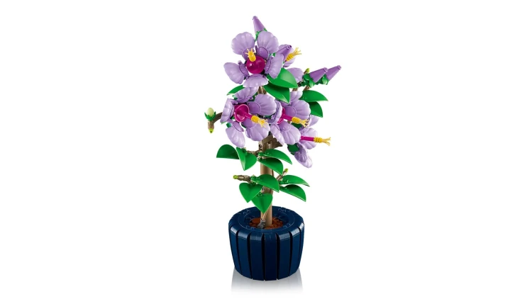 LEGO Botanicals 10372 Hibiskus_8.jpg