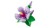 LEGO Botanicals 10372 Hibiskus_9.jpg