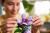 LEGO Botanicals 10372 Hibiskus_11.jpg
