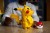 LEGO Pokémon Pikachu i Pokéball 72152_8.jpg