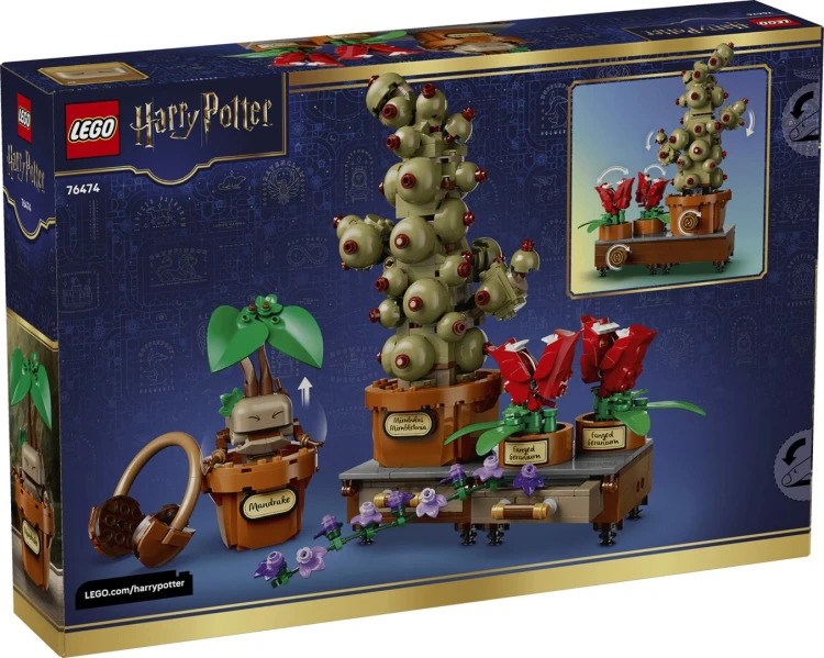 LEGO Harry Potter 76474 Zielnik w Hogwarcie_2.jpg