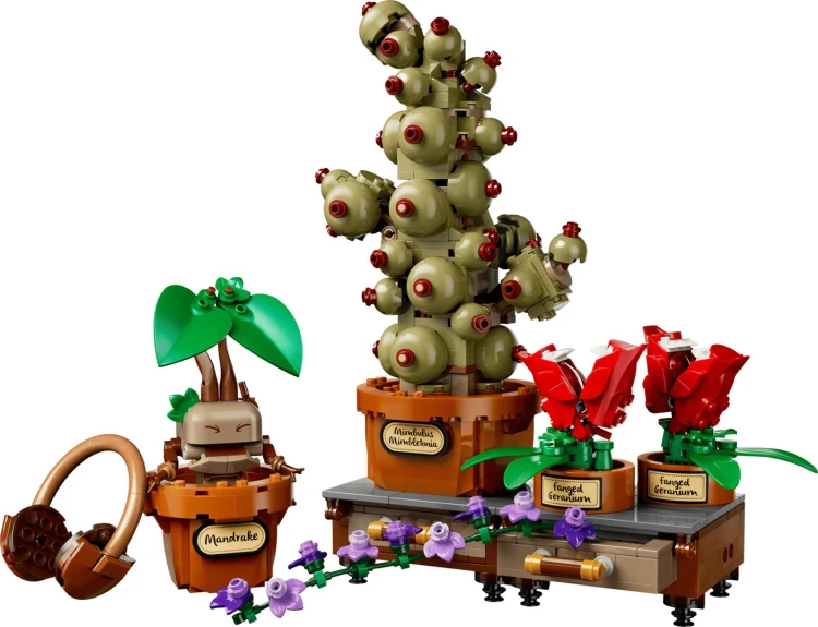 LEGO Harry Potter 76474 Zielnik w Hogwarcie_3.jpg