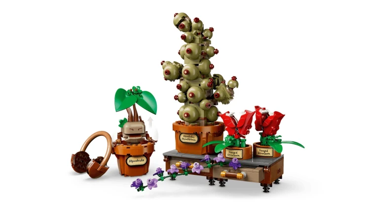 LEGO Harry Potter 76474 Zielnik w Hogwarcie_7.jpg