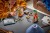 LEGO Harry Potter 76474 Zielnik w Hogwarcie_8.jpg