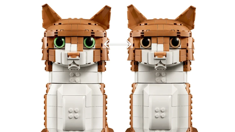 LEGO 21376 Rudy kot | zestaw kolekcjonerski do składania_8.jpg