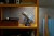 LEGO Icons 11382 Kosmiczny Teleskop Hubble’a_17.jpg