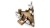 LEGO Pokemon 72168 Rayquaza_8.jpg