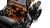 LEGO ICONS 11376 Ford Model T_12.jpg