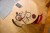 LEGO Ikony 11380 Rower Szosowy_7.jpg