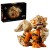 LEGO Pokemon 72160 Arcanine_1.jpg