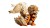 LEGO Pokemon 72160 Arcanine_6.jpg