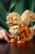 LEGO Pokemon 72160 Arcanine_11.jpg