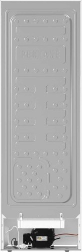 Lodówka jednodrzwiowa Gorenje R619EEW5 185x60 Biała Dynamic Air Klasa E_1.jpg