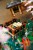 LEGO ICONS 10315 Cichy Ogród_9.jpg